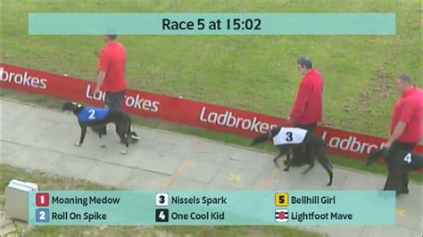 Crayford Greyhounds Races On 25Th May 2023 Youtube