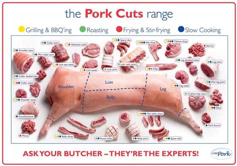 Create Meme Amp Quot Pork Butchering Pig Parts Pork Parts Amp Quot Pictures Meme Create Meme Amp Quot Pork Butchering Pig Parts Pork Parts Amp Quot Pictures Meme