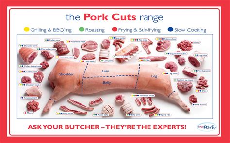 Cuts Of Pork Amp Where They Come From With Chart
