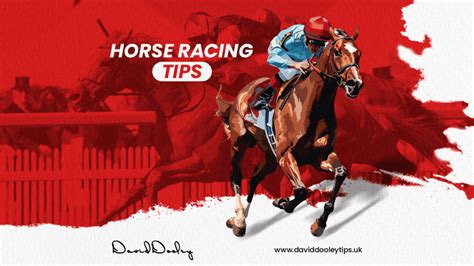 David Dooley Tips 1 Horse Racing Expert In Uk