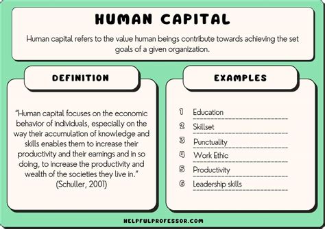 Define Human Capital In Turkey: A Data-Driven View Of The Workforce