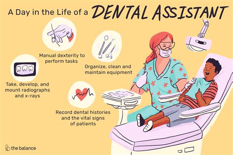 Dental Assistant Info Cedarburgdentist Com