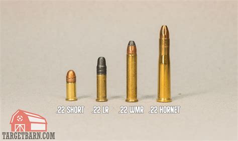 Different Types Of 22 Ammunition