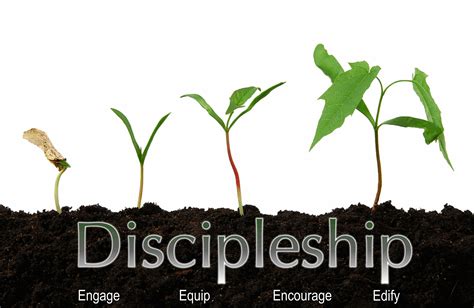 Discern What Is Best Discipleship Devotionalgrowing As Disciples