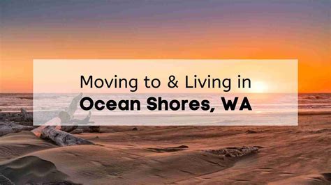 Discover Beachside Living In Ocean Shores Wa Ultimate 2025 Guide To Moving To Ocean Shores