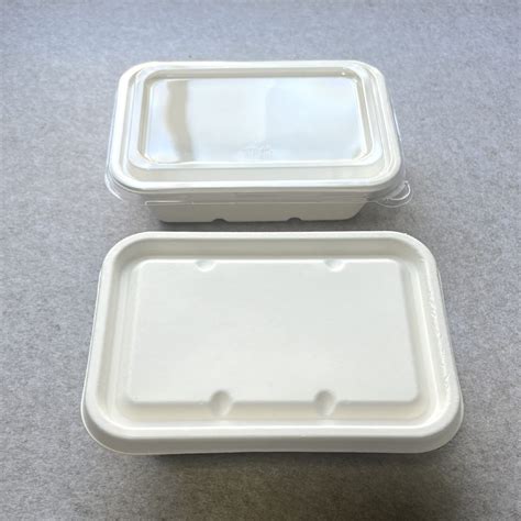 Disposable Food Trays With Lids Bulk Wholesale Bioleader