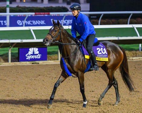 Distaff Entrant Awesome Result Among Latest Scratches Bloodhorse