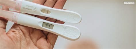 Do Pregnancy Tests Expire Health Guide For Women Ohm