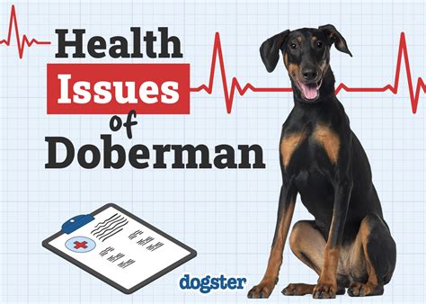 Doberman Health Issues