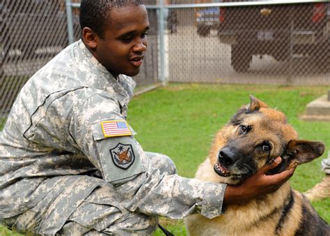 Dod Military Working Dog Adoption