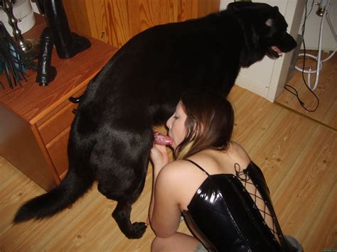 The Ultimate Guide to Dog Blowjob Porn
