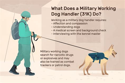 Dog Handler Job Description