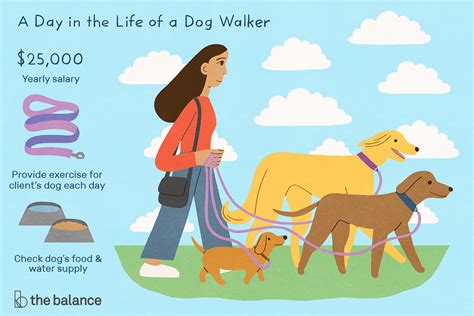 Dog Walker Job Description Salary Skills More