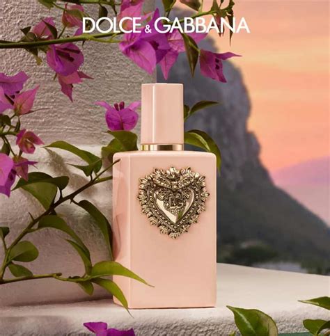 Dolce Gabbana Fef Fragrance News Dolce Gabbana Fef Fragrance News