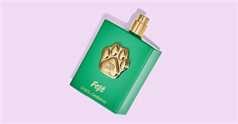 Dolce Gabbana Releases Perfume For Dogs Why 1 Vet Is Against It Dolce Gabbana Releases Perfume For Dogs Why 1 Vet Is Against It