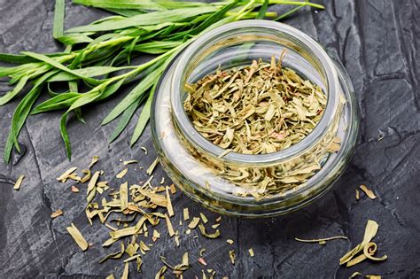 Dried Tarragon