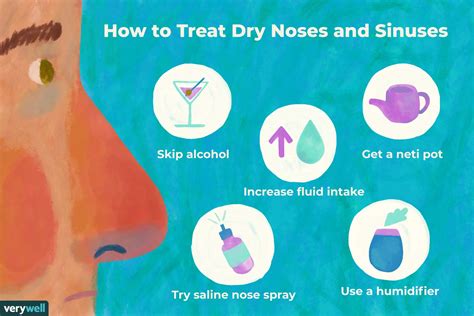 Dry Nose Treatment 12 Strategies To Provide Relief Dry Nose Treatment 12 Strategies To Provide Relief