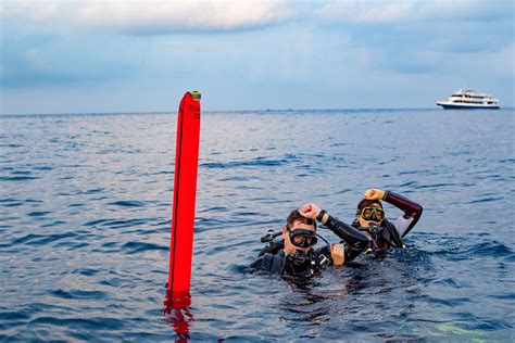 DSMB: Your Key to Success in Clinical Trials