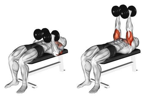 Dumbbell Close Grip Press Guide Benefits And Form