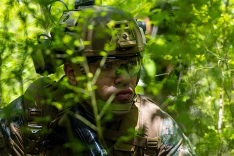 Dvids Images 24Th Marine Expeditionary Unit Carry Out A Simulated Raid At Marine Corps Outlying Field Oak Grove Image 7 Of 11