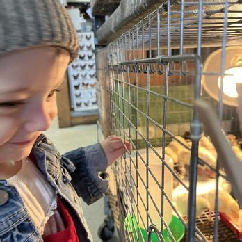 Eastside Urban Farm Amp Garden Updated January 2026 176 Photos Amp 56