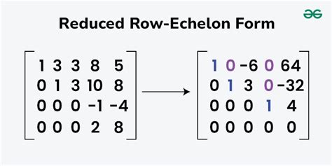 Uncovering the Power of Echelon Form in Solving Linear Systems