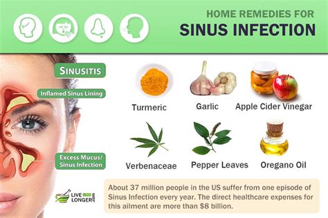 Effective Treatments And Home Remedies For Sinus Congestion Effective Treatments And Home Remedies For Sinus Congestion