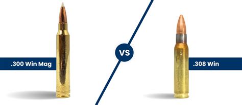 Elk Cartridge Showdown 308 Win Vs 300 Win Mag Vs 338 Win Mag