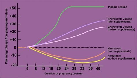 Erythrocyte Volume During Pregnancy: Anemia Risk And Guidance