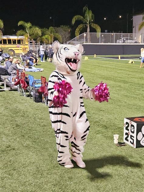 Escondido Charter High School Updated April 2025 11 Photos 1868 E