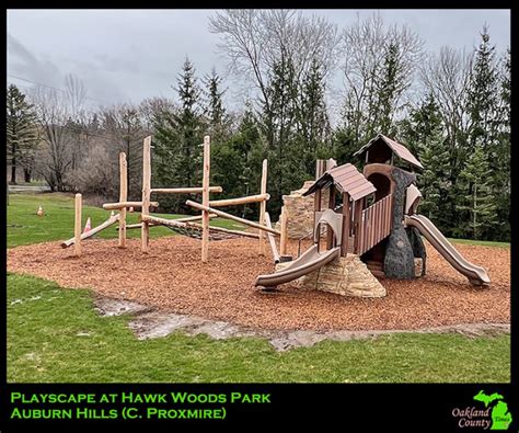 Explore Details Abound In Nature Themed Playground At Hawk Woods Park