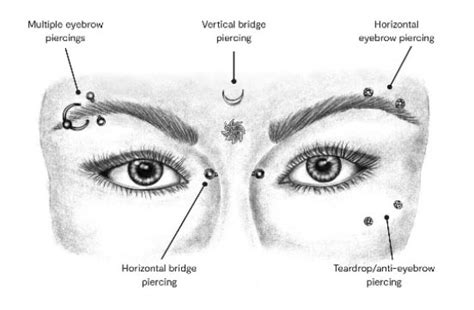 Eyebrow Piercings Piercing Locations And Names