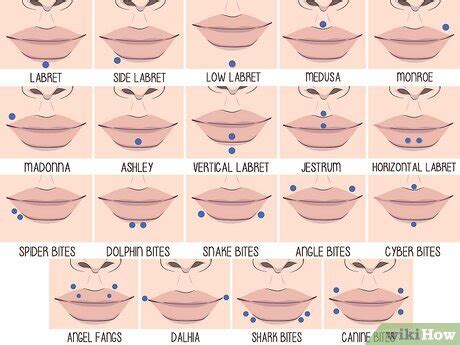 Facial Piercings Piercing Guide Bottom Lip Piercing Names Middle Lip Piercings Placement Aftercare Instructions