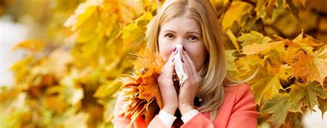 Fall And Winter Allergies What Patients Should Know