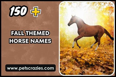 Fall Themed Horse Names Seasonal Inspiration