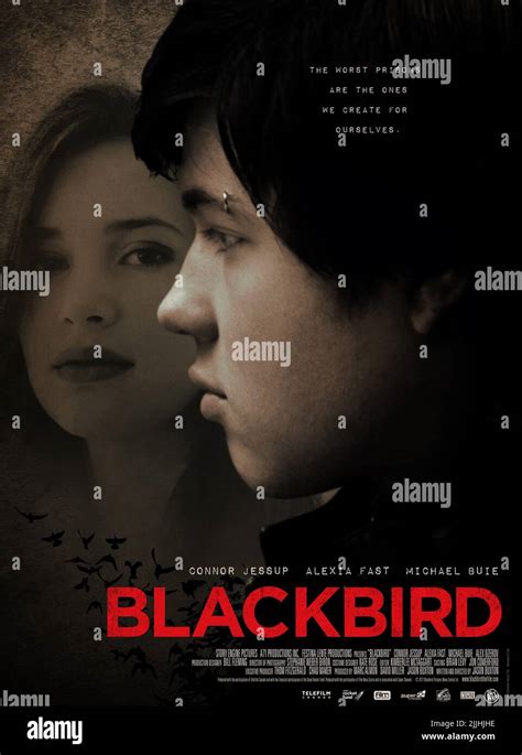 Fast Poster Blackbird 2012 Stock Photo Alamy