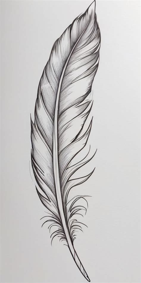 Feather Tattoo Sketch By Ranz