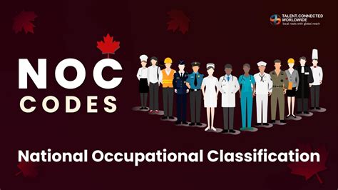 Federal Court Update Noc Codes Are Guidelines Not Checklists Visa Officers Cannot Assess Apprentices As Fully Qualified Workers Just Because They Share The Same Noc Job Context Training Status And Real