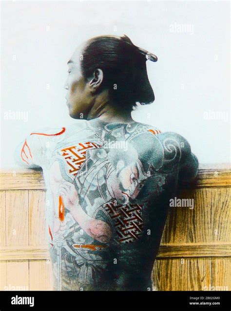 Female Torso Irezumi Female Torso Irezumi