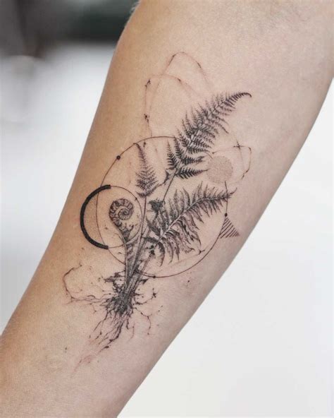 Ferns Tattoo Art From Nature
