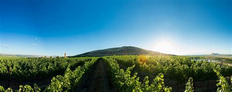 Fiction J Bookwalter Winery Visit Tri Cities Fiction J Bookwalter Winery Visit Tri Cities