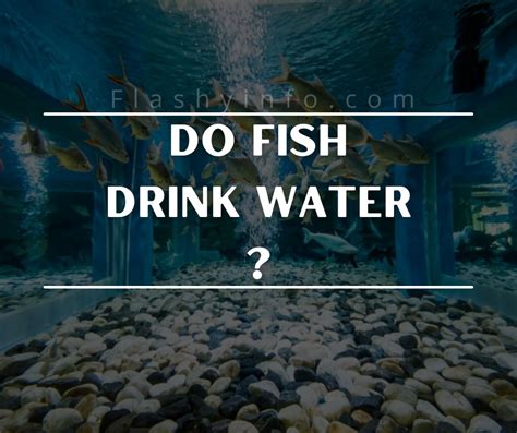 Flashy Info On Tumblr Flashy Info On Tumblr