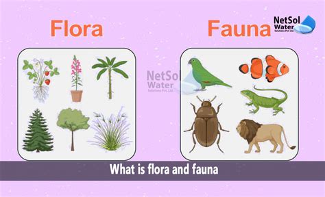 Flora at Fauna: Exploring Nature's Interwoven Beauty
