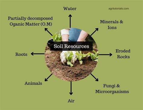 Food Agriculture Forestry Soil Minerals And Natural Resources Green Planet Stream