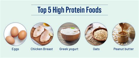Food That Contains Protein Brian King Food That Contains Protein Brian King