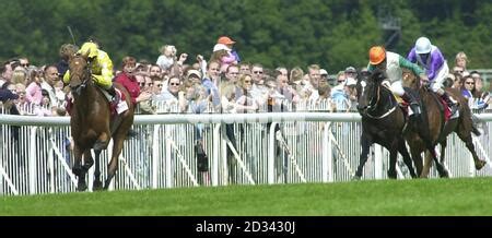 Frankie Dettori News