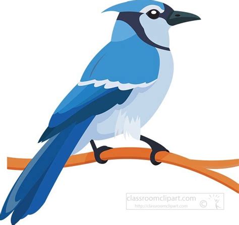 Free Blue Jay Image With Blue Jay Bird Clipart Animal Airplane