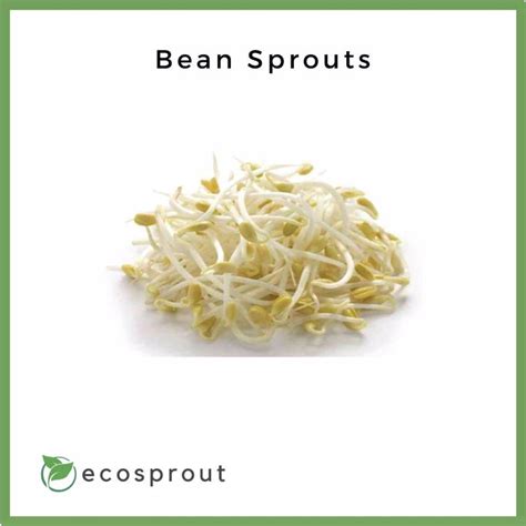 Fresh Bean Sprouts Near Me