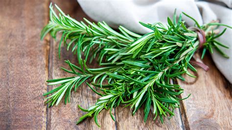 Fresh Rosemary