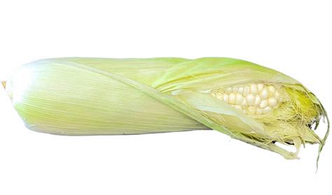 Fresh Sweet White Corn 1 Piece Bidmeshk